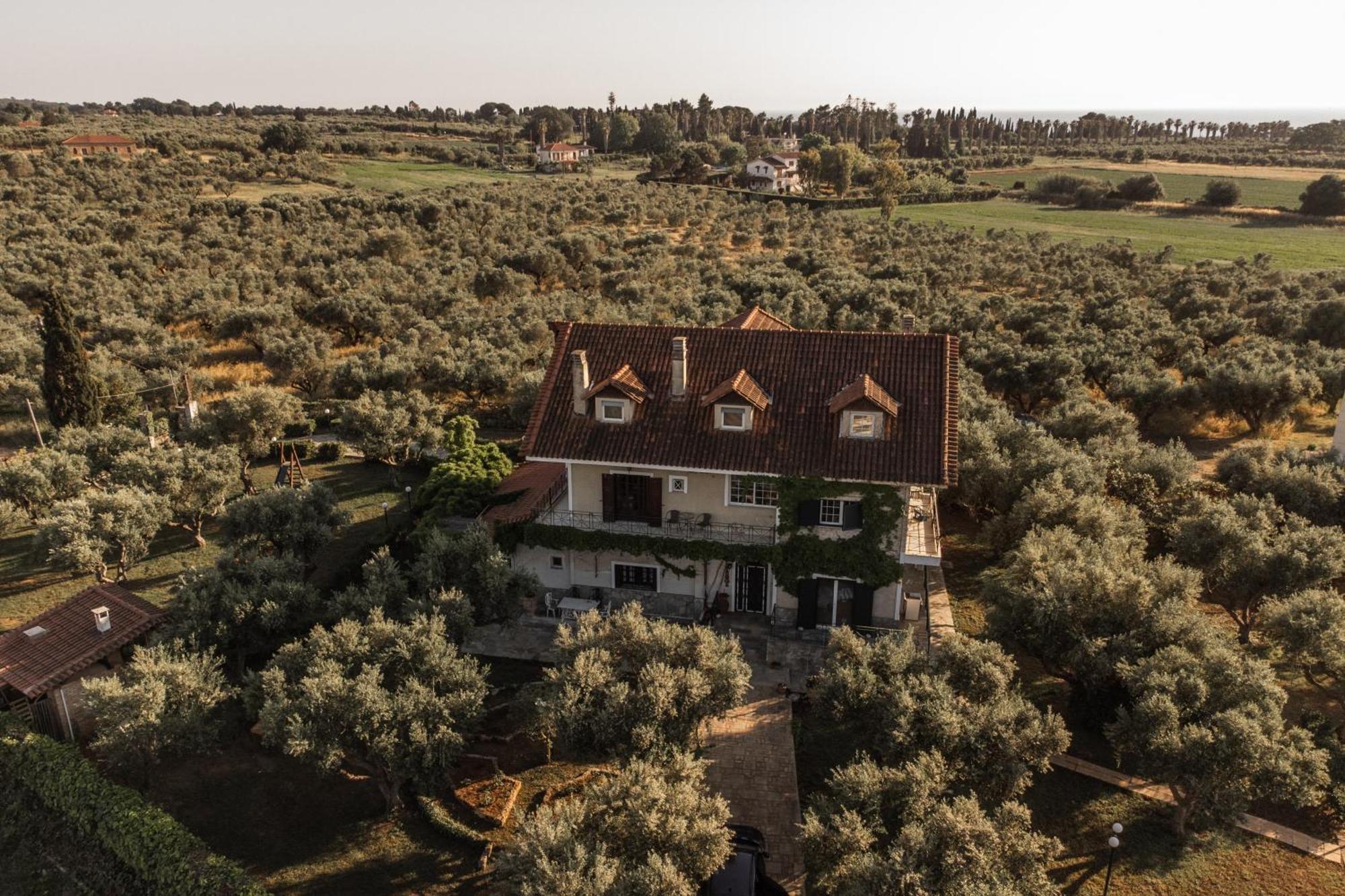 Villa Georgina B&B Катаколон Екстер'єр фото